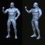 Hulk_Hogan - STL 3D print files