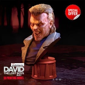 David The Lost Boys Busto - STL 3D print files