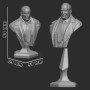 El Pinguino - STL 3D print files