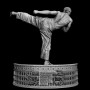 Chuck Norris The Way of the Dragon - STL 3D print files