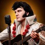 Elvis Presley The King - STL 3D print files