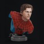 Spider-Man: Brand New Day - STL 3D print files