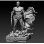 Robin Batman - STL Files for 3D Print