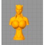 Catwoman Bust - STL 3D print files