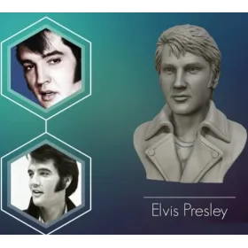 Elvis Bust - STL 3D print files