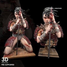 Kinjo Samurai - STL 3D print files